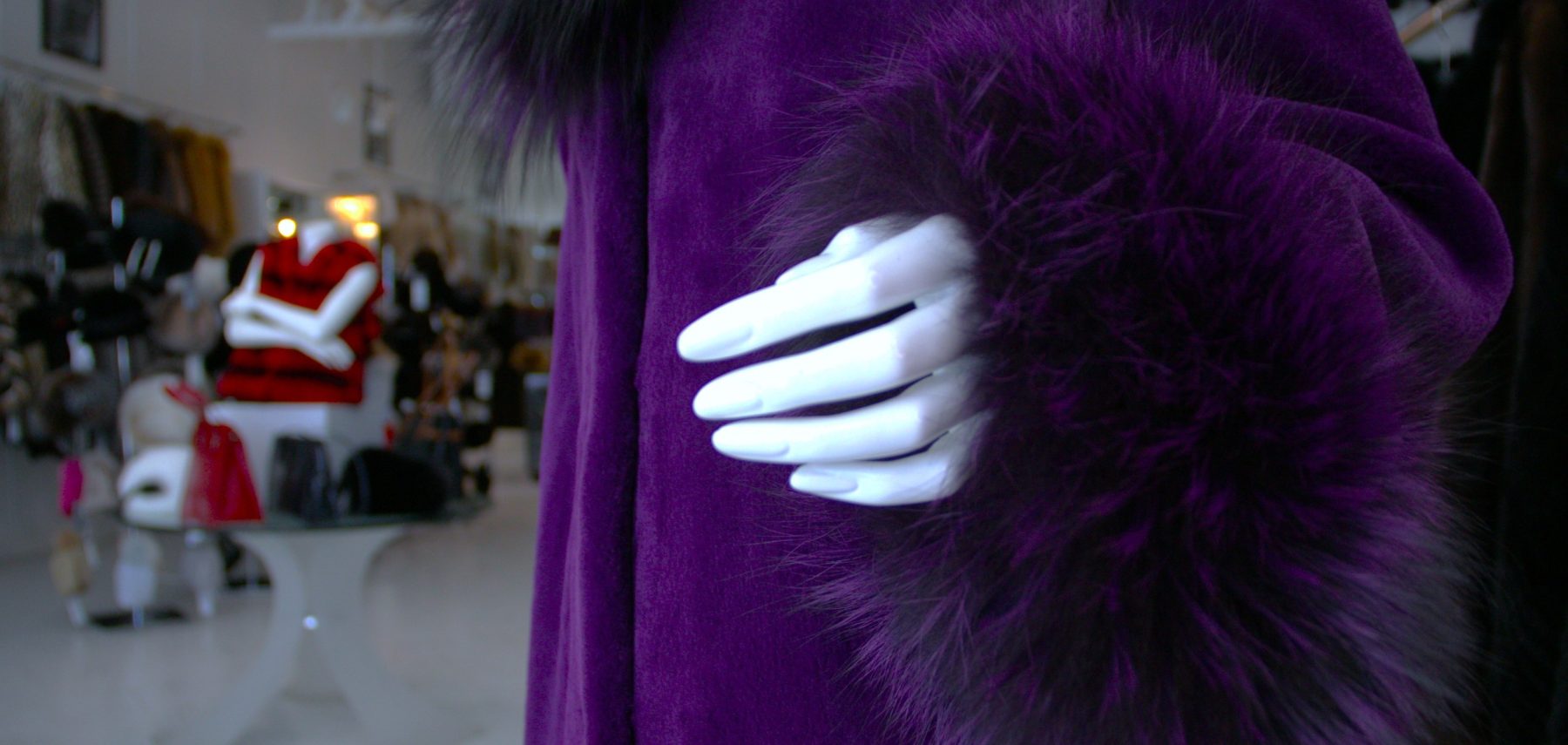 shearedpurp_rightframeCU_cropped